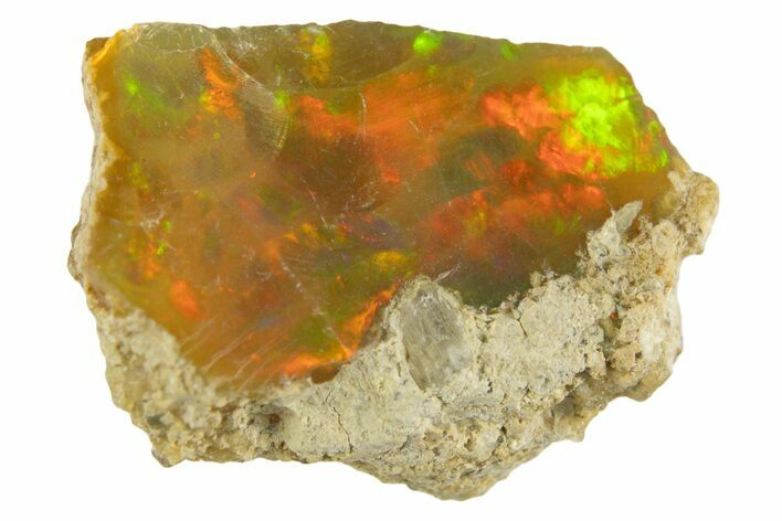 Brilliant Precious Ethiopian Fire Opal ( grams) #333496
